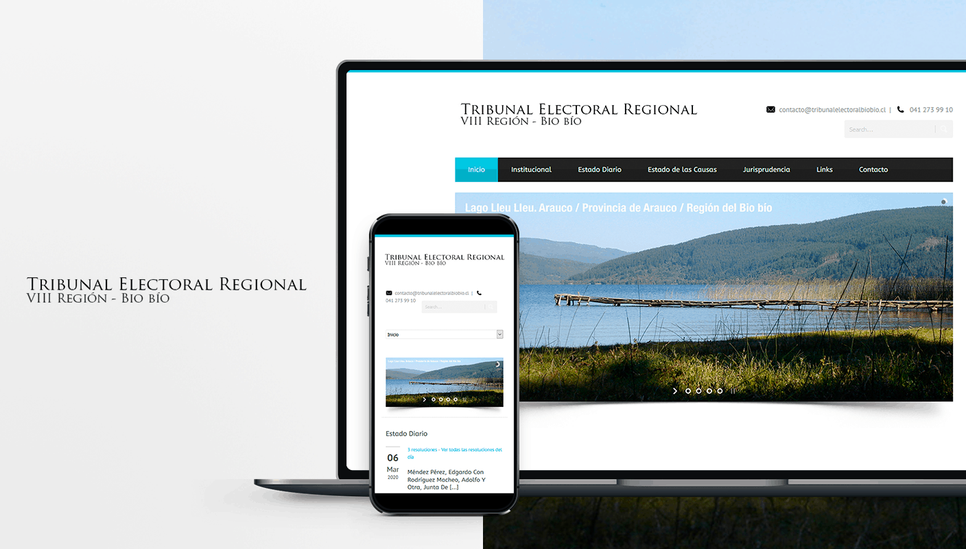 pagina web tribunal